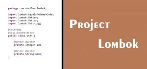 tutorial java project lombok